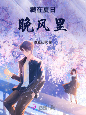 藏在夏日晚风里在线阅读