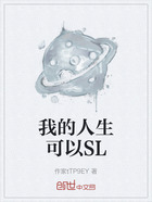 我的人生可以SL在線閱讀