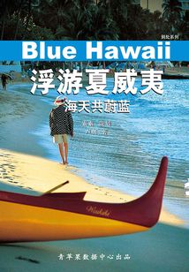 浮游夏威夷：海天共蔚藍