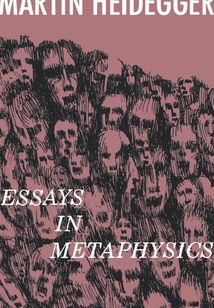 Essays in Metaphysics
