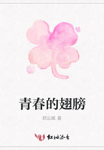 青春的翅膀