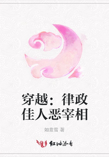 穿越:律政佳人惡宰相