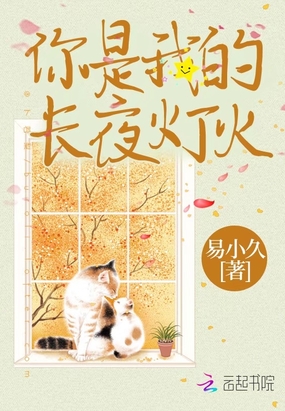 你是我的长夜灯火在线阅读