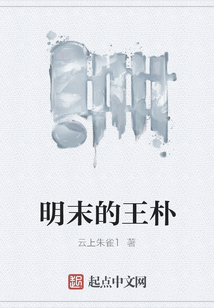 明末的王樸