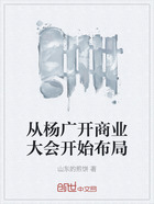 從楊廣開商業(yè)大會開始布局在線閱讀
