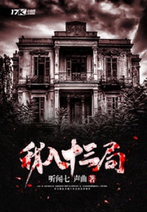 我入十三局