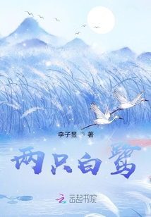 兩只白鷺