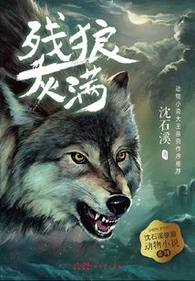沈石溪摯愛動物小說系列1：殘狼灰滿