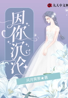 因你沉沦在线阅读