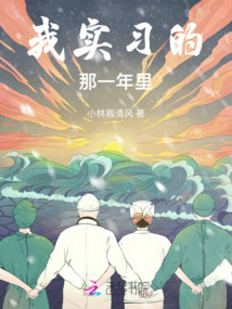 我實習的那一年里