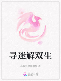 尋迷解雙生