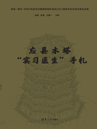 应县木塔“实习医生”手札在线阅读