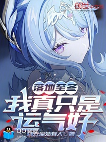 落地至冬,我真只是运气好 封面