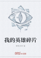 我的英雄碎片在線閱讀