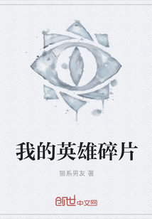 我的英雄碎片