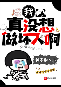 我真没想做坏人啊