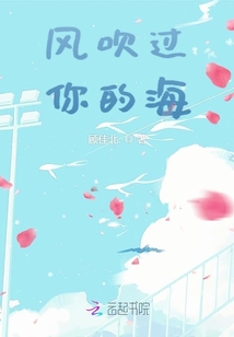 風吹過你的海