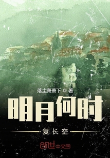 明月何時復長空