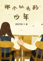 那個似光的少年在線閱讀