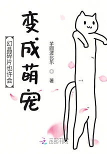 幻晶碎片也許會變成萌寵