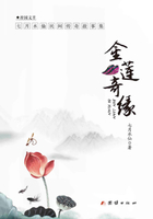 金莲奇缘在线阅读