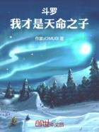 斗罗:我才是天命之子在线阅读