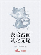 去哈密面试之无尾在线阅读