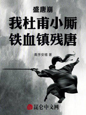 盛唐崩:我杜甫小厮,铁血镇残唐在线阅读