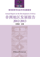 非洲地区发展报告2012—2013