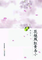 花褪殘紅青杏小在線閱讀