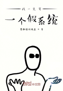 我一定有一個(gè)假系統(tǒng)