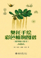 奥托手绘彩色植物图谱（精华版口袋书）