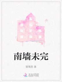 南墻未完