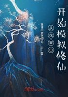 從花果山開始模擬在線閱讀
