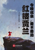 红楼贾兰:今晚省亲,要不要逃?在线阅读