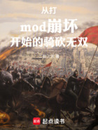 从打mod崩坏开始的骑砍无双在线阅读