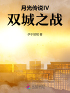 月光传说IV双城之战在线阅读