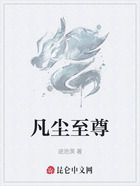 凡尘至尊在线阅读