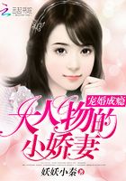寵婚成癮：大人物的小嬌妻在線閱讀