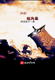 三國趙為皇