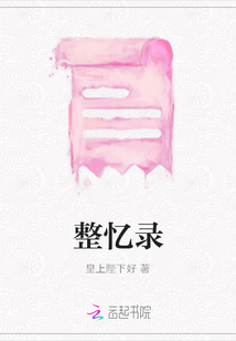 整憶錄