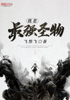 我是最強圣物在線閱讀