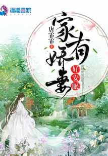 家有嬌妻好安眠