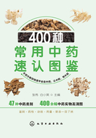 400种常用中药速认图鉴在线阅读