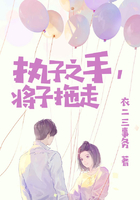 执子之手，将子拖走在线阅读