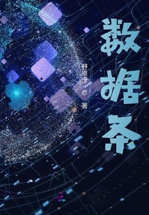 數(shù)據(jù)條