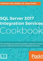 SQL Server 2017 Integration Services Cookbook在线阅读