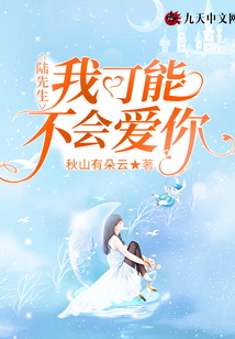陸先生，我可能不會愛你