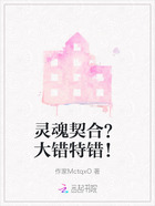 灵魂契合？大错特错！在线阅读