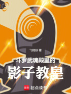 斗罗:武魂殿里的影子教皇在线阅读